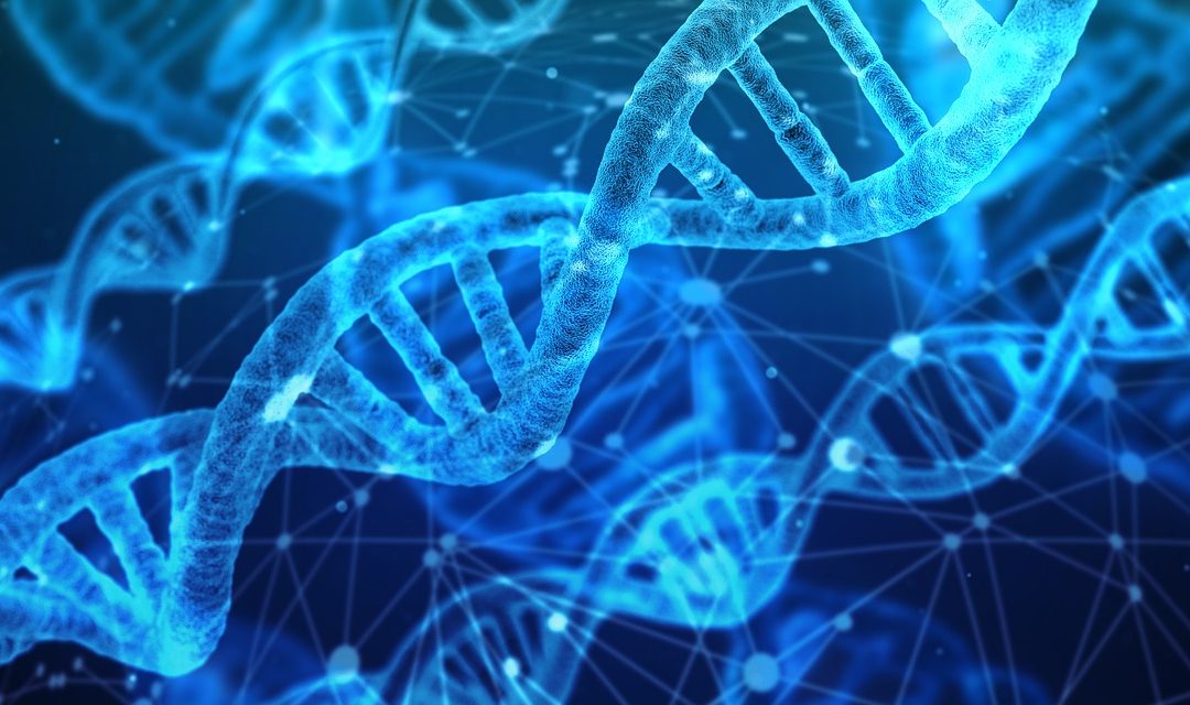 Laboratorul Ramus oferă cea mai recentă generație de teste genetice, inclusiv un test prenatal neinvaziv (VeriRef Gold)
