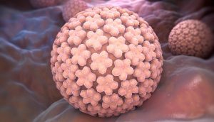 Човешкият папиломен вирус (HPV)
