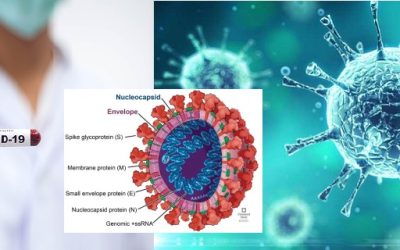 Coronavirusul Sars CoV-2, laborator analize medicale, Mediclin A&M