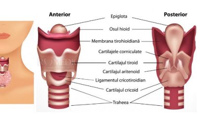 Patologia glandei tiroide